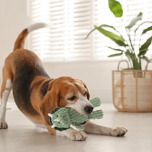 Linzy Plush Dinosaur Dog Toy, Soft Squeaky Chew Toy for Small Medium Large Dogs, Green, Interactive Pet Toy, 12 Inch