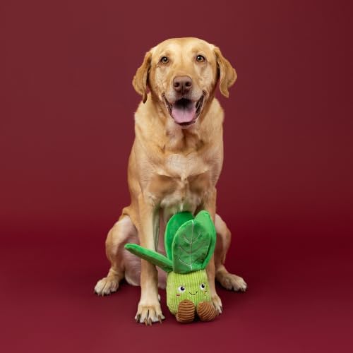 Fringe Studio I'll Be Bok Plush Dog Toy, Cabbage Pet Toy, PetShop Collection (314772)