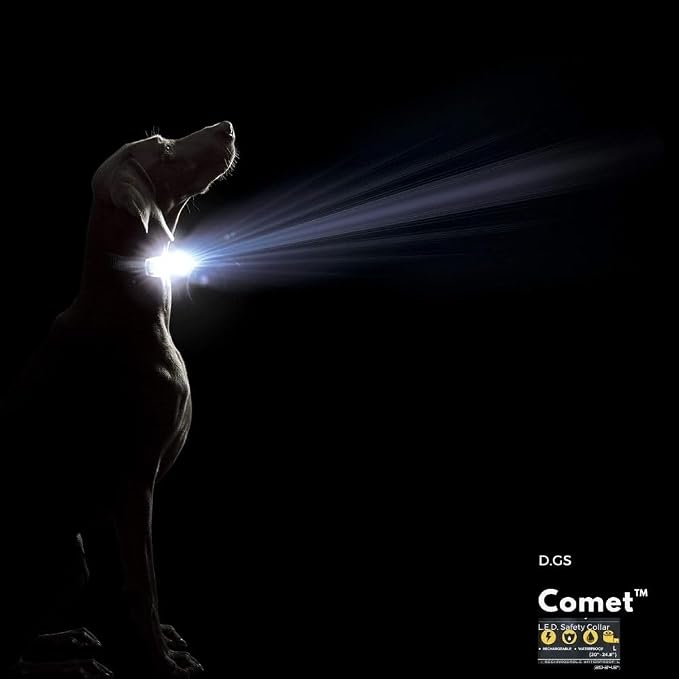 Dog Gone Smart Pet Products Super Bright LED All Day & Night Wear Safety Comet Collar Dogs, Adjustable Breathable Strong Nylon, Puppies, Large, Medium, Small
