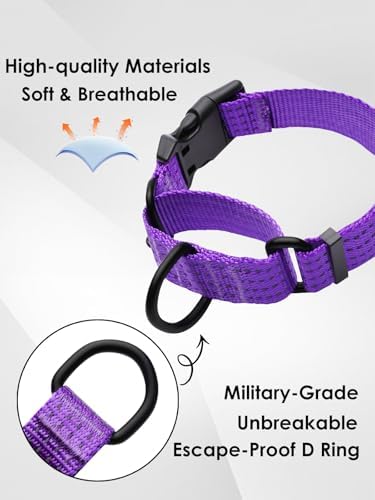 Martingale Dog Collar, Reflective No Pull with Buckle, Purple, S