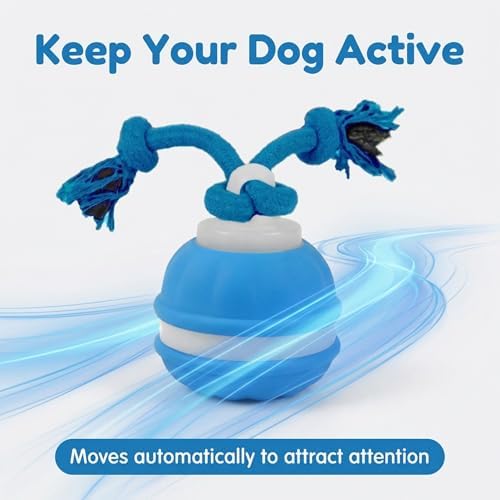 Winb Interactive LED Dog Ball （4 inch）- USB Rechargeable Motion-Activated Rolling Toy for Small to Large Dogs, Dogs Ball Play and Wicked Fun, Squeaky Sound & Stimulation, Blue