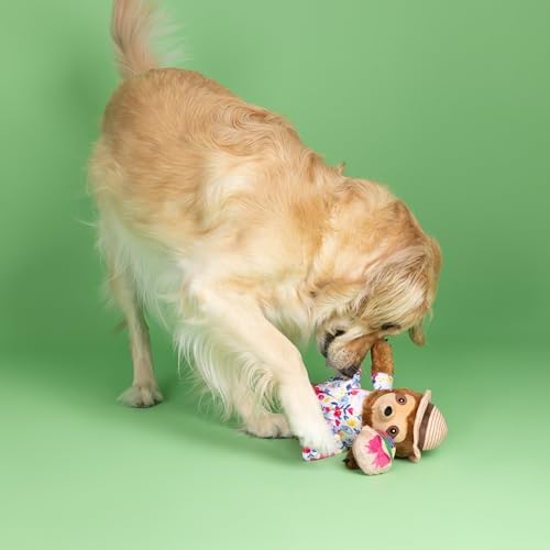 Fringe Studio Plush Dog Toy, Sunday’S Best, Petshop Collection (314317)