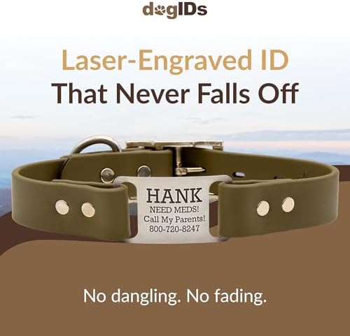 dogIDs Personalized Dog Collar – ScruffTag Custom Waterproof Biothane Dog Collar with Laser-Engraved Name, Durable & Odor-Resistant – USA Made | Sage, 1 in x 16 in (Fits Neck Sizes 14-18 in)