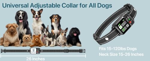 GPS Wireless Dog Fence System