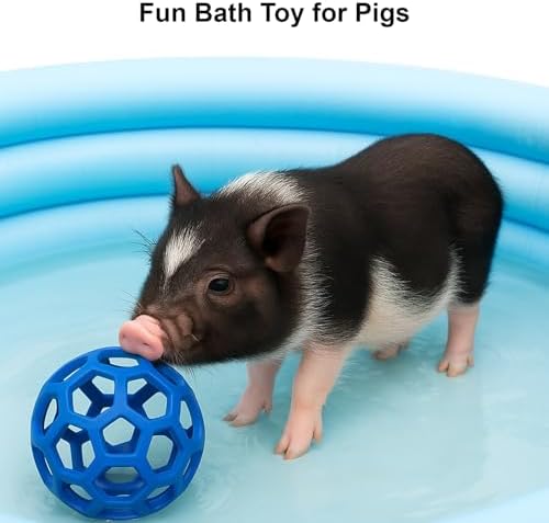 2Pcs Pig Enrichment Toys, Treat Ball Toy for Mini Pigs and Farm, Hanging Chew Ball Enrichment Toy with Rope for Pigs to Play with