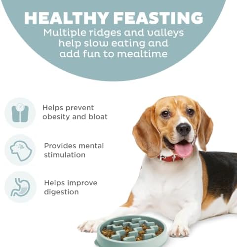 Outward Hound Fun Feeder Slo Bowl Dog Slow Feeder, Notch, Sage, 9.1", Medium (Pack of 12)