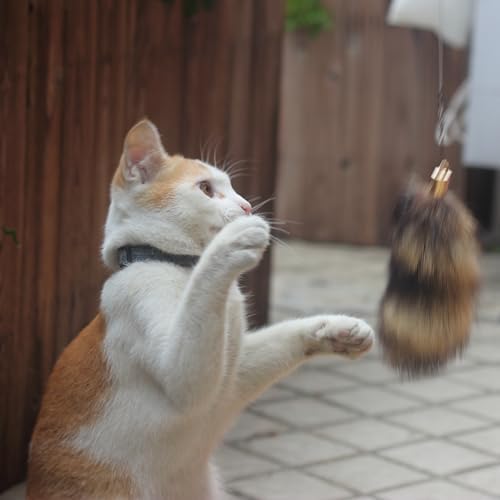 Fosrion Real Raccoon Tail Fur Cat Bites Toy with Three Section Retractable Carbon Fiber Rod (Raccoon, Tail & Fishing Rod)