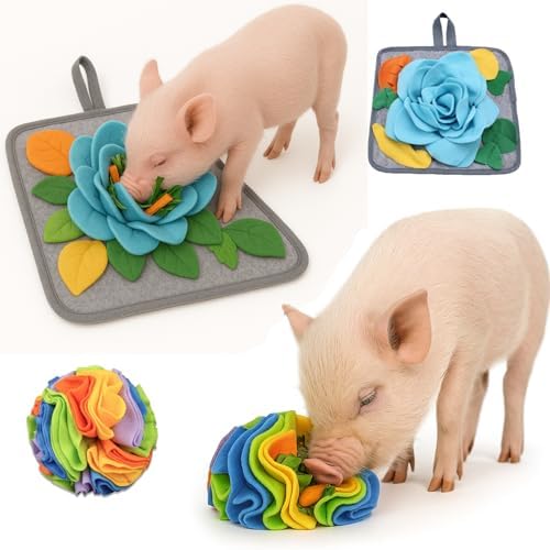 Pig Snuffle Mat and Snuffle Ball for Pigs – Pig Enrichment Toys for Mini Pigs, Potbellied Pigs & Farm Use – Interactive Foraging & Rooting Toy, Slow Feeding Pig Toys Accessories