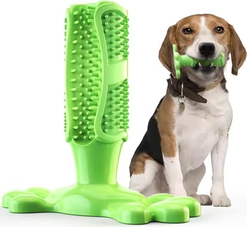 PUPIX Dog Toothbrush Chew Toy with Treat Dispenser, Interactive Dog Toy for Small Medium Dogs, Puppy Teething Toy, Rubber Dog Chew Toy for Dental Cleaning, Dog Teeth Cleaning Toy & Oral Care, Green, L
