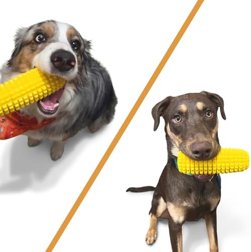 H&H Pets Interactive Corn Chew Toy for Dogs – Durable Squeaky Interactive Toy, Aggressive Chewers, Puppy & Adult Dog Teeth Cleaner, Medium Breeds