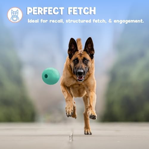Foam Fetch Ball for Dogs – Durable EVA Foam Dog Ball, Interactive Chew Toy for Dogs, Lightweight Floating Ball for Water, Pool & Outdoor Fetch Games (Green, Large)