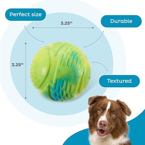 Outward Hound Grunt N' Punt Tennis Ball - Fetch Ball Dog Toy, Multi (Pack of 4)