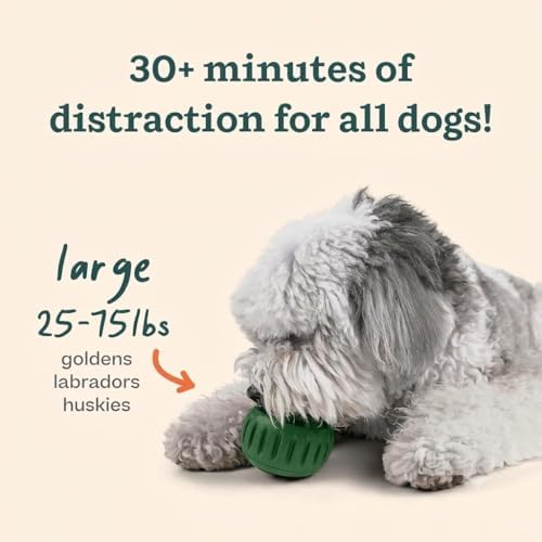 WOOF Starter Pack Dog Treat Toy for Large Dogs 25-75 lbs | Long-lasting enrichment kit, Pupsicle toy included, reusable treat mold, chicken Pops, DIY frozen treats