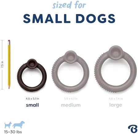 Benebone Ring Dog Chew Toy for Aggressive Chewers, Blueberry, Small