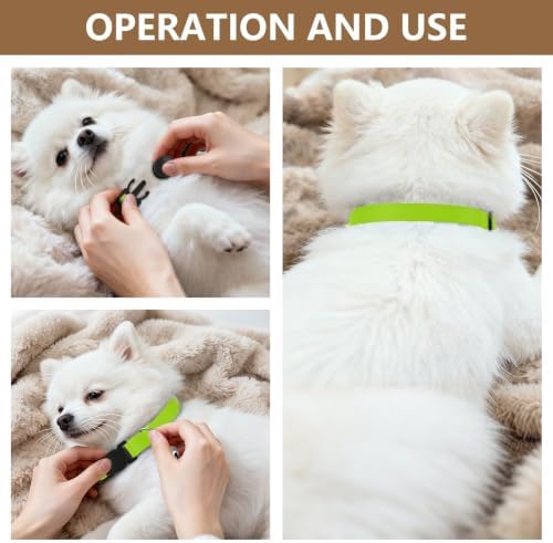Green Yellow Gradient Comfortable Cat Collar, 2 Pack Cat Bell Collar