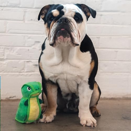 Outward Hound Xtreme Seamz Dino Squeaky Plush Dog Toy - Reinforced Dense Stuffing Plush Toy