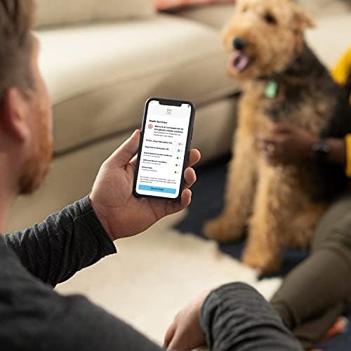 Embark Purebred Dog DNA Test - 270+ Genetic Health Conditions, 55 Physical Traits, Coefficient of Inbreeding (COI), Relatives, Breed Confirmation