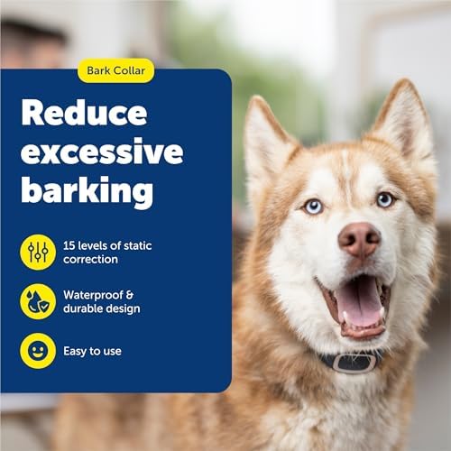 PetSafe Bark Collar | Progressive Static Correction, Built-in Safety Feature Prevents Over Correction, Waterproof, Dogs 8 lb+, Necks Up To 27 in