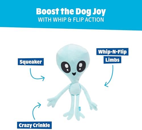 BarkBox A.R.F Dog Toy - Fun for Dogs