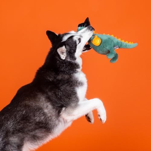Fringe Studio Plush Dog Toy, Candy REX PetShop Collection (289345)