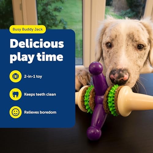PetSafe Busy Buddy Jack - Treat Holding Dog Chew Toys - Helps Clean Teeth - Vanilla Scented Rubber for Strong Chewers - Treat Refills Included - Interactive Dog Toy Keeps Dogs Busy - Purple, Medium