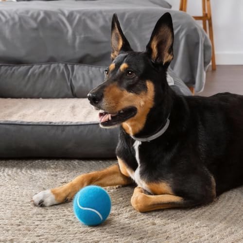 3-Pack Tennis Ball Dog Toys with Squeaker, Interactive Fetch Play for Pets 40 lbs and Over ，Training Balls for Indoor & Outdoor Exercise, 3.28-inch (Bule, 18PCS)