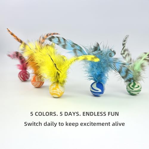 Feather Chase & Fetch Balls for Indoor Cats – 5 Pack Durable Rubber Cat Toys with Natural Feathers, Interactive Exercise & Hunting Play, Bouncy Balls for Active Kittens and Adult Cats