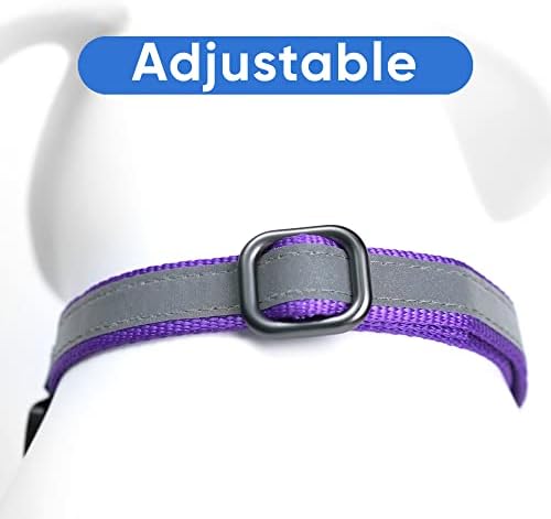 Pawtitas Purple Reflective Martingale Dog Collar, Medium