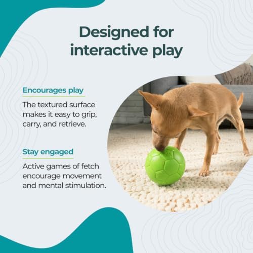 Jolly Pets Mini Soccer Ball Dog Toy, 4 in, Orange - Durable