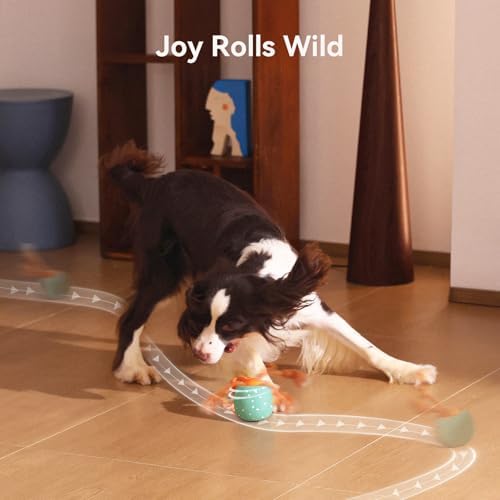 Smart Interactive Dog Toy, Wicked Ball Rolly, Automatic Moving, Bouncing, Rotating, E-TPU Material, Active Rolling Interactive Dog Ball for Medium and Large Dogs