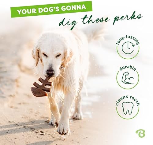 Benebone Fishbone Durable Dog Chew Toy for Aggressive Chewers, Giant