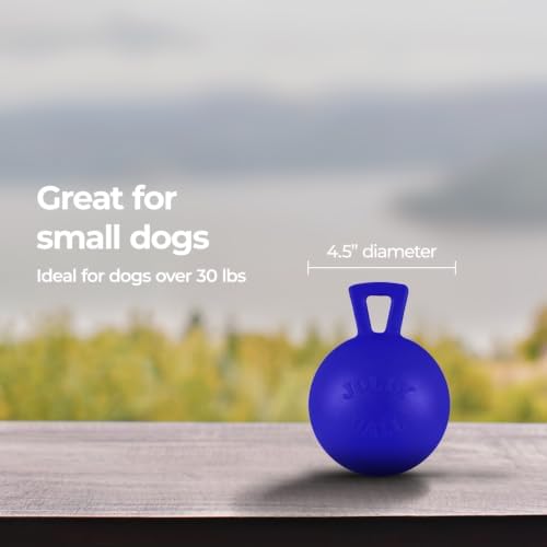 Jolly Pets Tug-n-Toss Heavy Duty Dog Toy Ball with Handle, 4 Inches/Petite, Blue (404 BL),Small Breeds