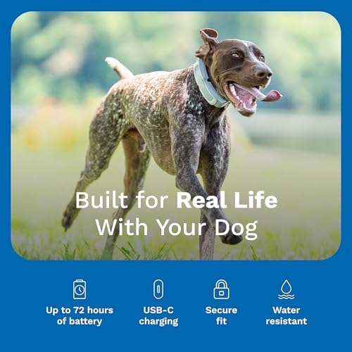 INVISIBLE FENCE Brand GPS Collar + Tracking, 3/4 Acre +
