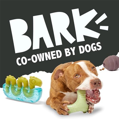 BarkBox Sven the Hedgie Rubber Dog Toy - Toy for Small Dogs
