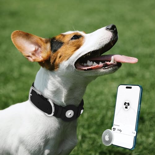 Leather Dog Collar with Airtag Holder - Apple Air Tag Dog Collars - Soft Tracking GPS Pet Collar for Small Medium Large Dogs Breed Puppy (Black, M, 12"-15" Neck Fit)
