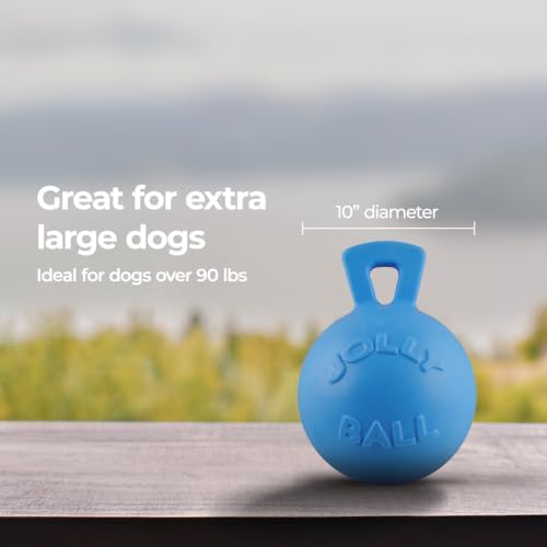Jolly Pets Tug-n-Toss Heavy Duty Dog Toy Ball with Handle, 10 Inches/X-Large, Blueberry for All Breed Sizes