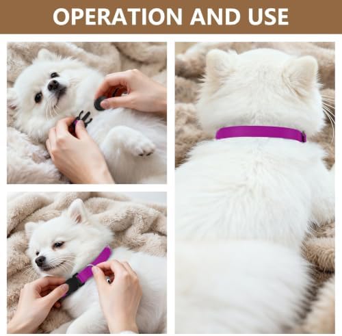 2 Pack Kitten Collars Purple Pink Gradient Collar with Bell for Dog Puppy, Adjustable 10.6 to 17.1 Inches