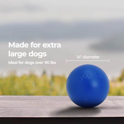 Jolly Pets Push-n-Play Ball Dog Toy, 14 Inches/Extra-Large, Blue (314 BL), for All Breed Sizes