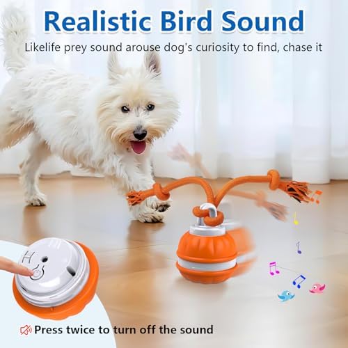 Muhhiba Interactive Dog Toys, Automatic Rolling Ball for Puppy/Small Dogs, Squeak Dog Toy, Touch Activated, USB Rechargeable