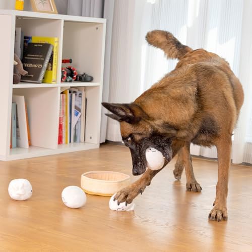 Sedioso Dog Squeaky Toys, 5-Pack Interactive Dogs Toy, Stuffed Dog Chew Toys, Durable Plush Toy for Puppy, Small, Middle, Large Dogs