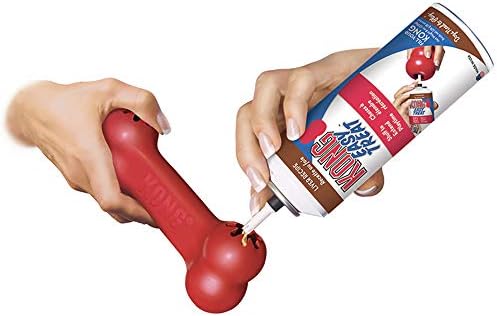 KONG Goodie Bone and Flyer Dog Toy Set, for Small Dogs