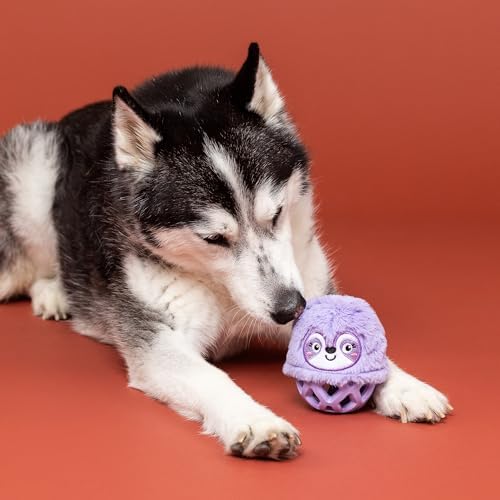 Fringe Studio Rubber Dog Toy, NOT Fast NOT Furious, Pet Shop Collection (519053)