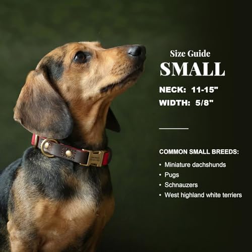 Personalized PU Leather Dog Collars, Quick Release Buckle, Red,S