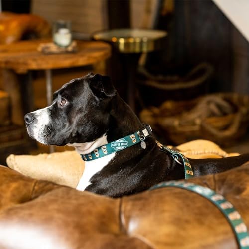 Max & Molly Gotcha! Smart ID Dog Collar - Coffee Break, L