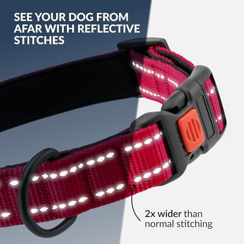 Reflective Dog Collar, Quick-Release Buckle (Pink, 12-16 Inch)