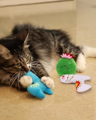 CiyvoLyeen Plush Cactus Llama Catnip Toys for Indoor Cats 5 Pack