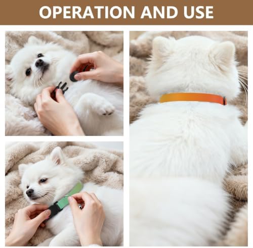 Green Red Gradient Cat Collars 2 Pack Comfortable Cat Collar Adjustable 10.6 to 17.1 Inches