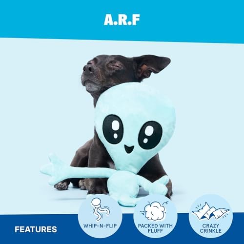 BarkBox A.R.F Dog Toy - Fun for Dogs