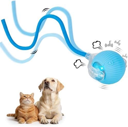 Cat Toy, Electric Interactive Toys for Indoor Cats, Blue