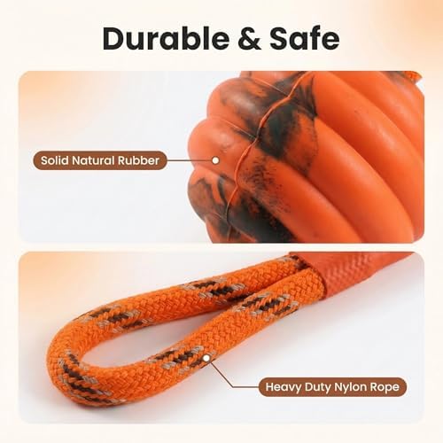 Ball on Rope Dog Toy - Durable Interactive Training Toy